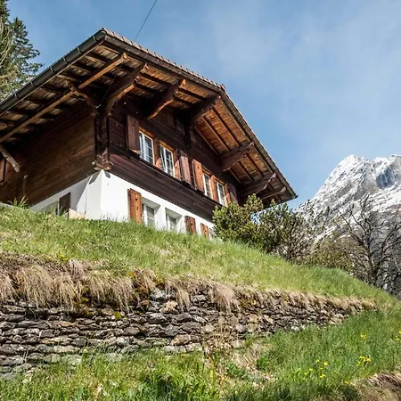 Chalet Lienzhubel - Griwa Rent Ag Grindelwald Exterior photo